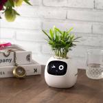 EcoRoot Smart Planter