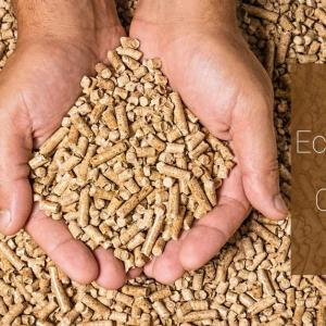 Eco-Friendly Cat Litter