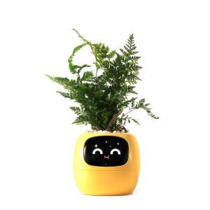 EcoRoot Smart Planter
