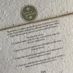 Seed Paper Invitations