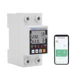 EcoWatt Smart Meter
