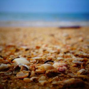 Bulk Compostable Packaging