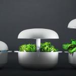 Smart Planters