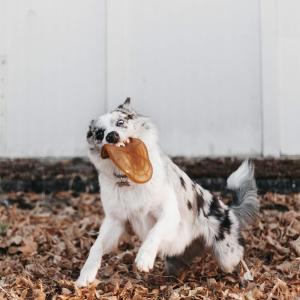 Natural Rubber Pet Toys